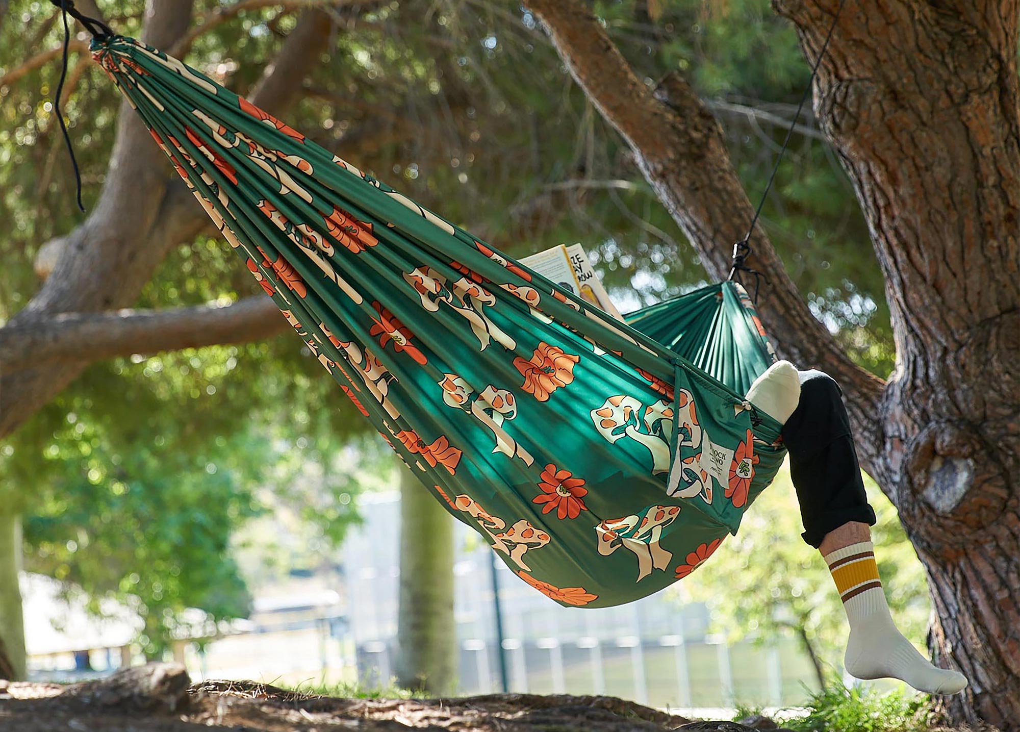 Explore Evergreen Tees, Hats and More Inspired By Our
