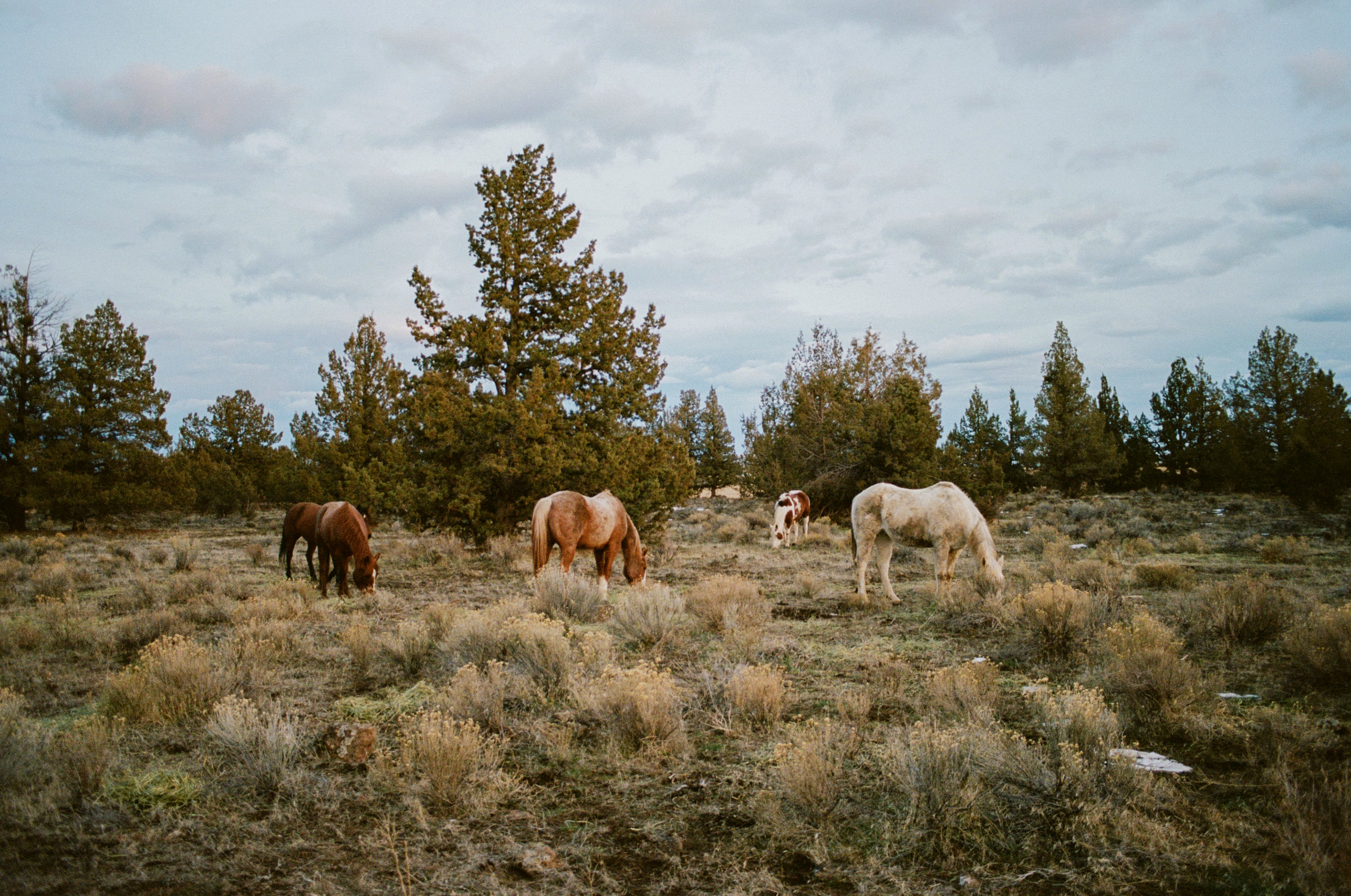 National Geographic x Parks Project Forever Exploring | Parks Project