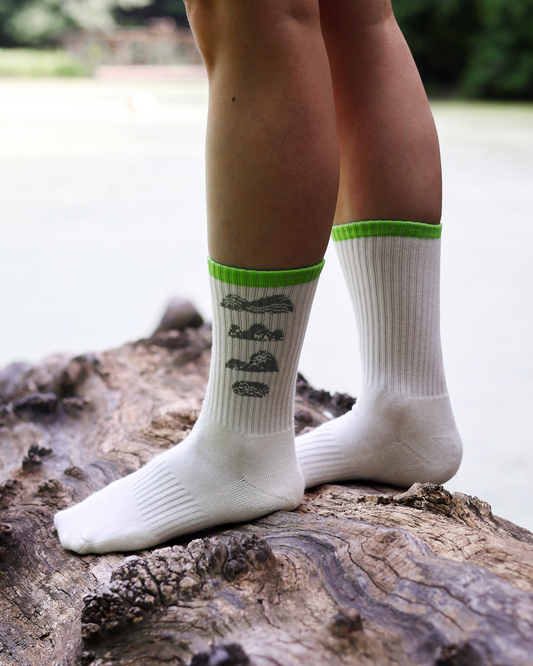Shop AllTrails x Parks Project Trail Sock Inspired by National Parks | raw-natural