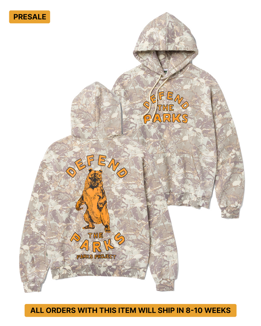 Shop Defend the Parks Bear Hoodie Inspired by Protecting National Parks | camo