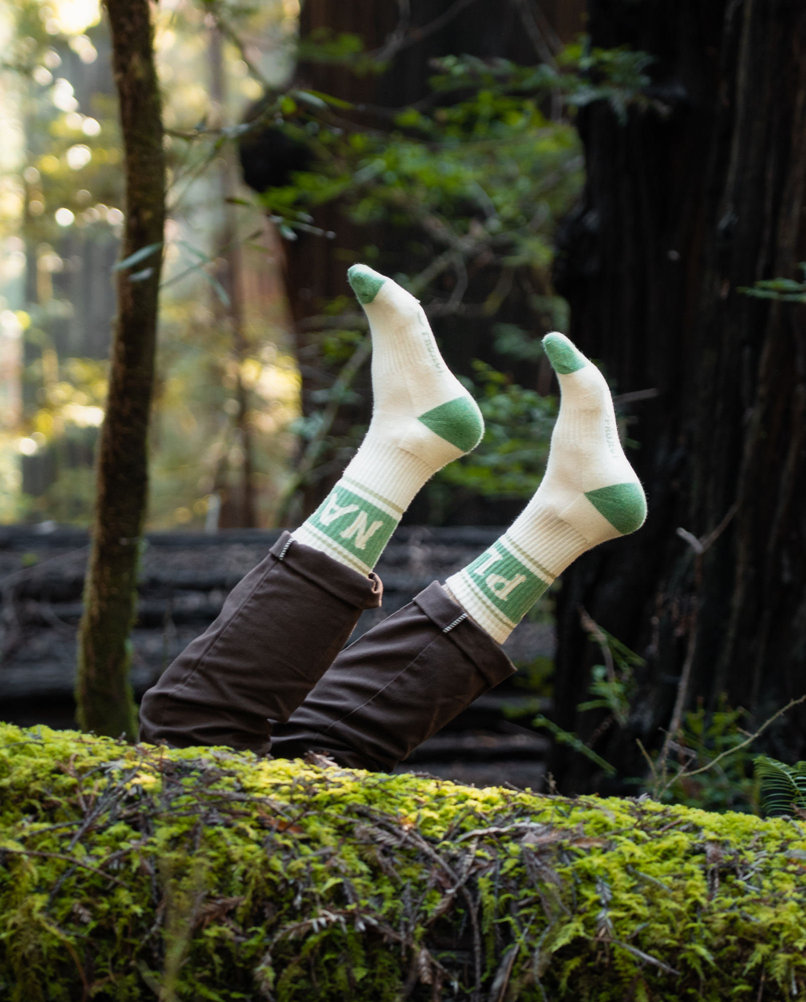 Lotta Nocturne inthe forest Socks 限定22部 Lotta Nocturne inthe forest Socks 限定22部 Lotta Nocturne inthe