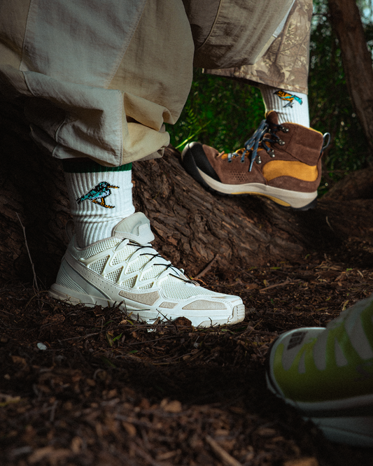 Shop Parks Project x Audubon Trail Sock Inspired by National Parks | natural