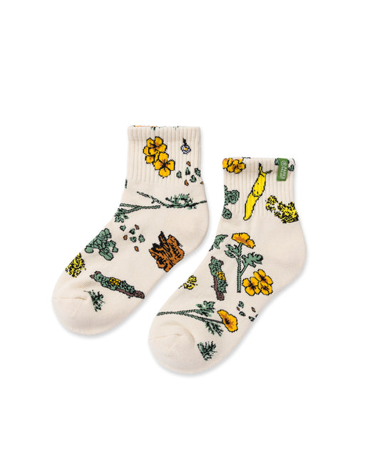 Shop Forest Forager Quarter Sock 2 Pack Inspired by Parks | cream-and-green