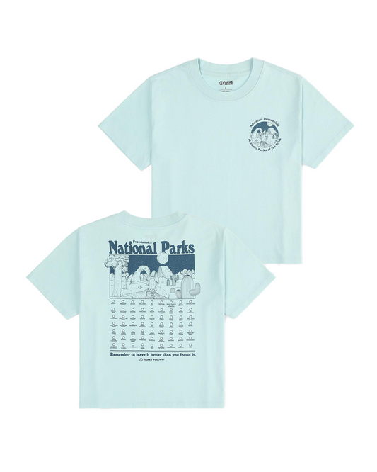 Shop Women's National Parks Fill In Boxy Tee Inspired by our Parks | ash-blue