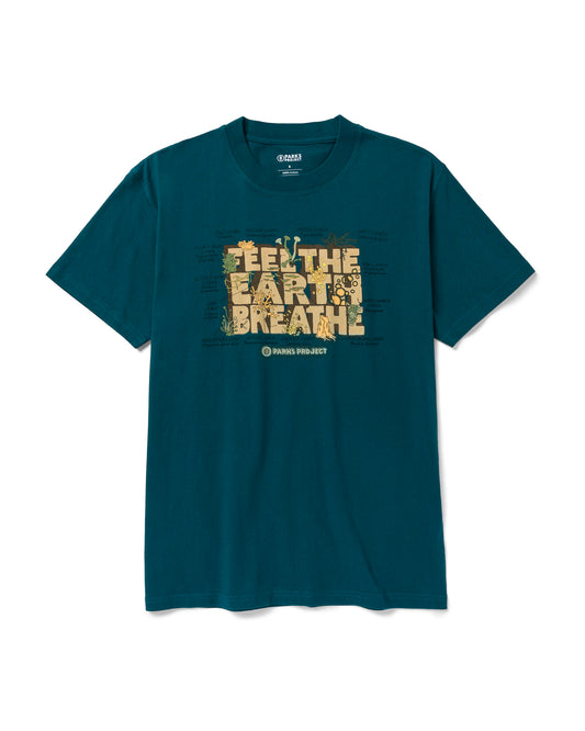 Shop Olympic Lichen Script Tee Inspired by Olympic National Park | lichen-blue