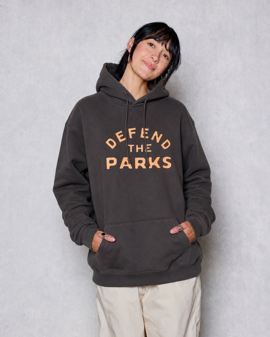 Shop Defend the Parks Bear Hoodie Inspired by Protecting National Parks vintage-black