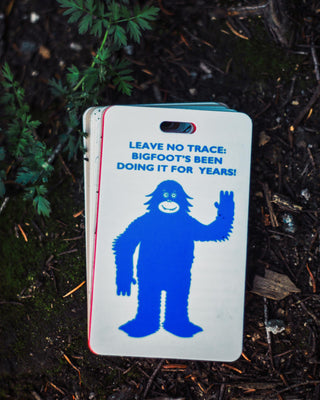 Shop Leave No Trace x Parks Project Outdoor Ethics Cards Inspired by our National Parks | multi-color