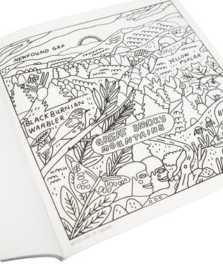 Parks Project | Our National Parks Coloring Book | National Park Coloring BookShop National Park Coloring Book | multi-color