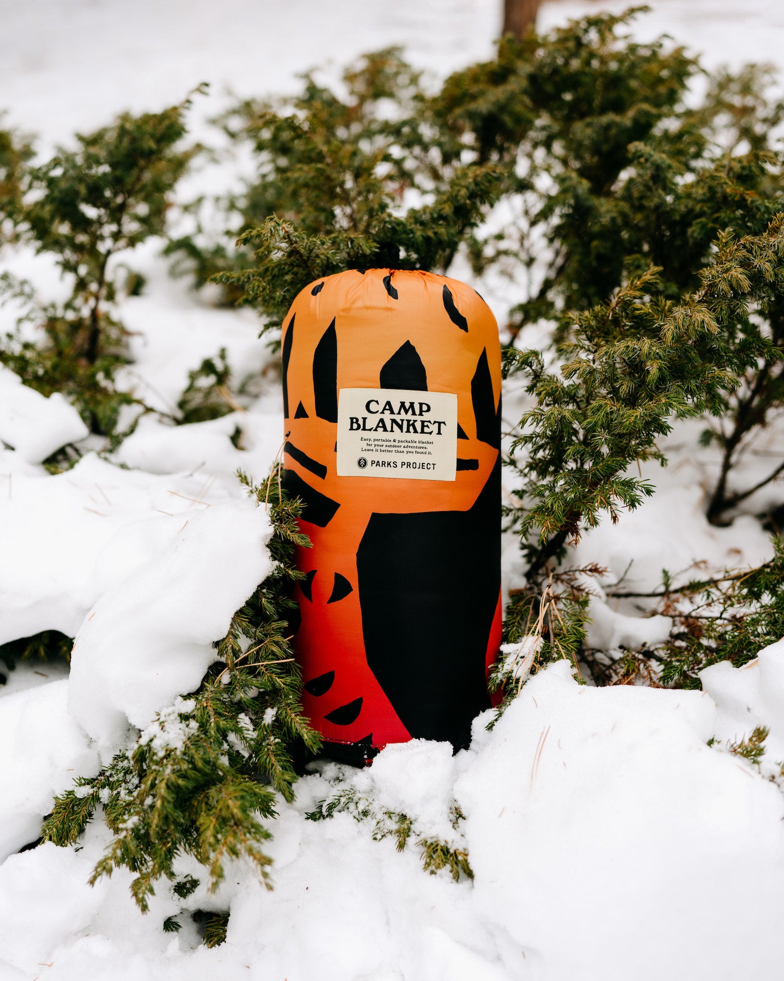 Shop National Parks Woodcuts Recycled Camp Blanket Inspired by Parks –  Parks Project