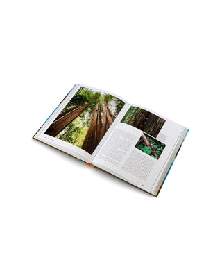 Shop The Parklands Book: Exploring America's National Parks Inspired by our National Parks | multi-color
