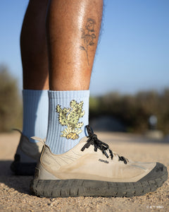 shop looney tunes x parks project trail sock inspired by desert parks | blue
