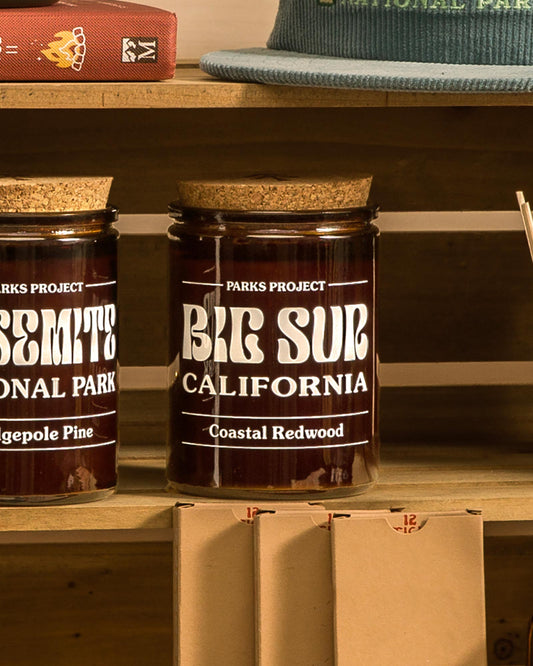 Shop Big Sur Coastal Redwood Soy Candle Inspired By Big Sur | amber