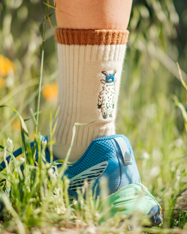 Shop Adventure with Friends Trail Crew Sock 2 Pack Inspired by Parks | natural-blue-green