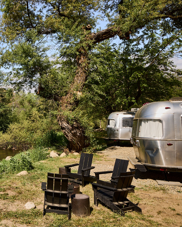 Shop Sequoia Trip 1 Ticket — Sept 30 - Oct 3, 2026 | sequoia-trip