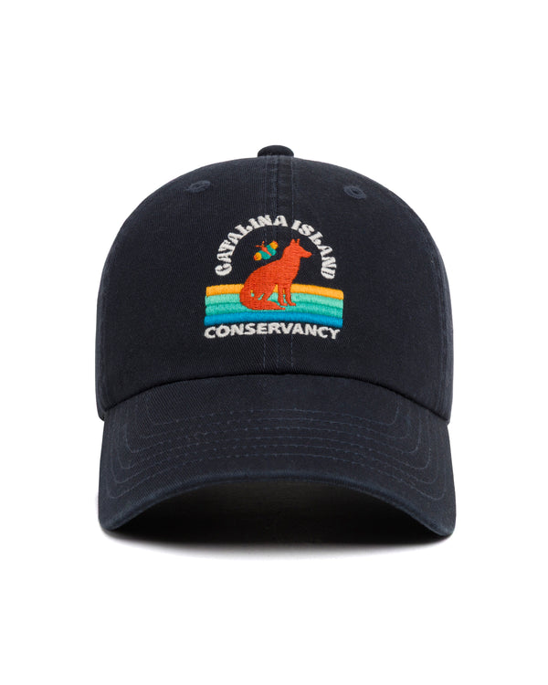 Shop Catalina Island Fox Hat Inspired by Catalina Island | vintage-black