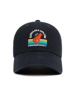 shop catalina island fox hat inspired by catalina island | vintage-black