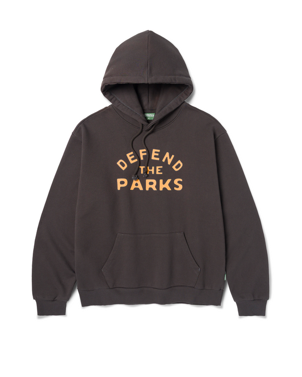 Shop Defend the Parks Bear Hoodie Inspired by Protecting National Parks | vintage-black