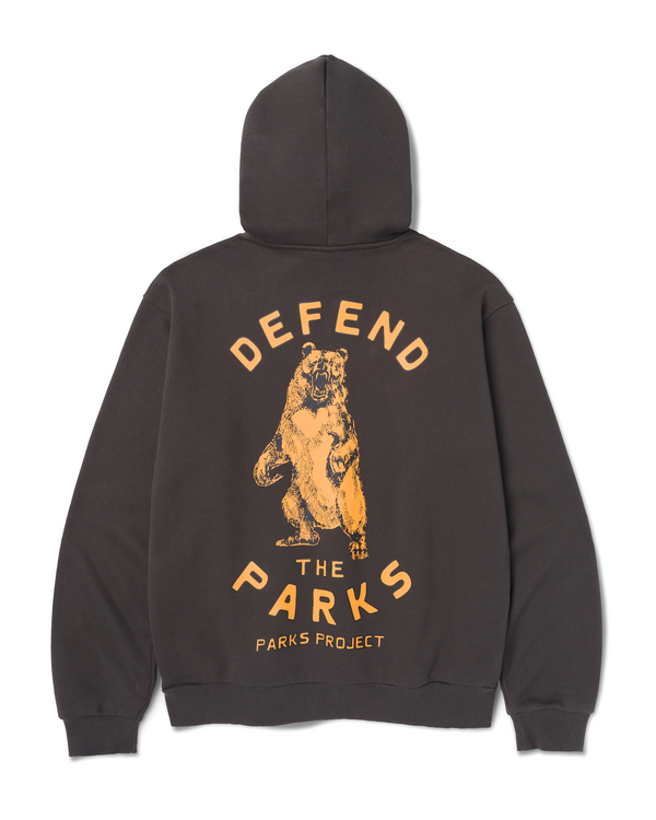 Shop Defend the Parks Bear Hoodie Inspired by Protecting National Parks | vintage-black