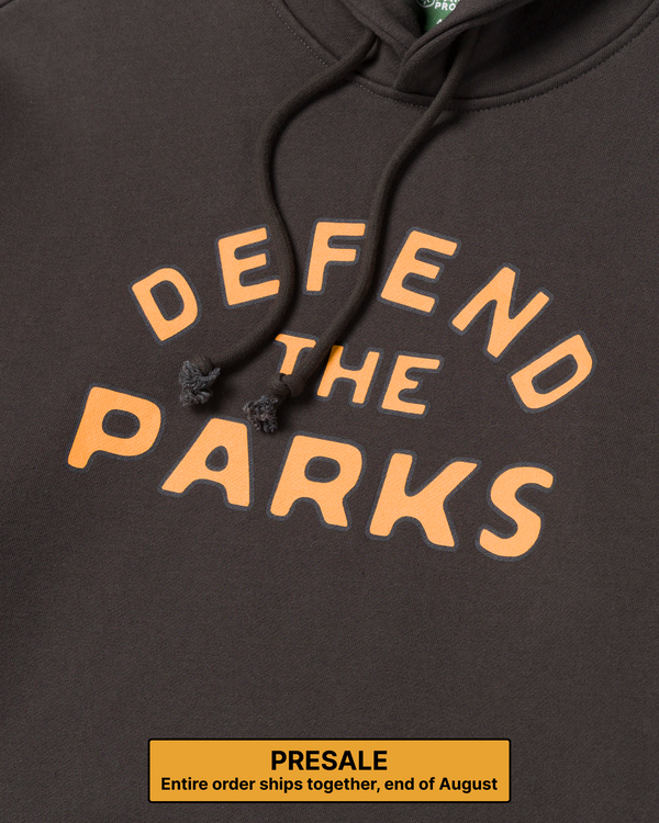 PRESALE Shop Defend the Parks Bear Hoodie Inspired by Protecting National Parks | vintage-black