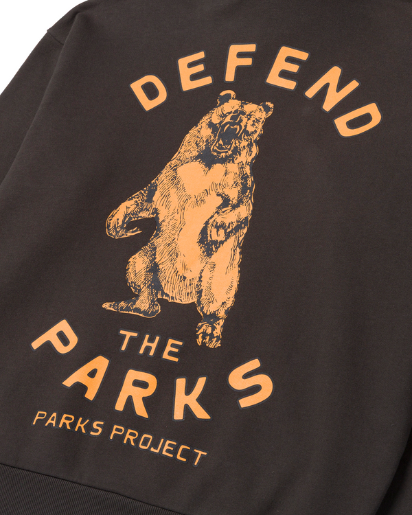 Shop Defend the Parks Bear Hoodie Inspired by Protecting National Parks | vintage-black
