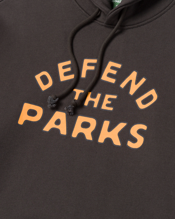Shop Defend the Parks Bear Hoodie Inspired by Protecting National Parks | vintage-black