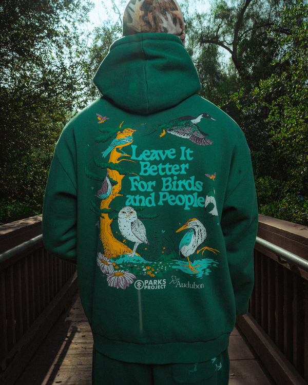 Shop Parks Project x Audubon Hoodie Inspired by Birds in National Parks | forest-green