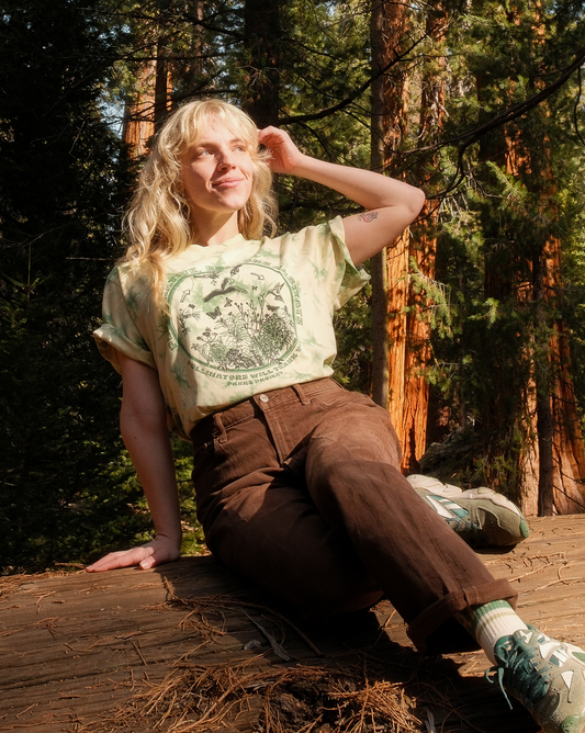 Shop Women's Plant Native Classic Tee Inspired by National Parks | sage-tie-dye