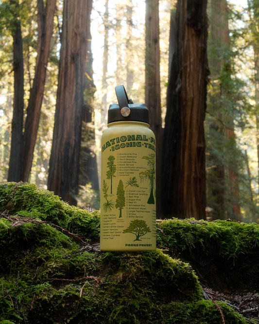 Shop Iconic Trees Checklist 32oz. Insulated Water Bottle Inspired by Parks | light-green