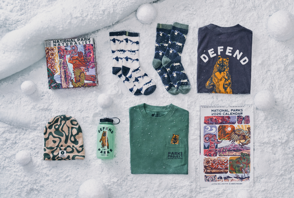 An image of various items arranged on a snowy surface, including a National Park Naturalist book, two pairs of socks with animal and mountain patterns, a green shirt with a bear design and 'PARKS PROJECT' text, a water bottle with 'DEFEND THE PARKS' and a bear graphic, a beige and green beanie with a leopard pattern, and a National Parks 2026 calendar featuring colorful illustrations of animals and landscapes.