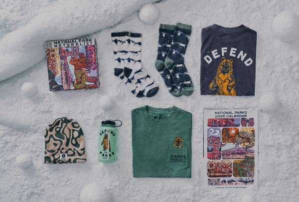 An image of various items arranged on a snowy surface, including a National Park Naturalist book, two pairs of socks with animal and mountain patterns, a green shirt with a bear design and 'PARKS PROJECT' text, a water bottle with 'DEFEND THE PARKS' and a bear graphic, a beige and green beanie with a leopard pattern, and a National Parks 2026 calendar featuring colorful illustrations of animals and landscapes.