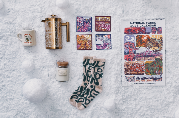 A flat lay of winter-themed items on a snowy surface. From left to right, there is a white mug with a logo reading 'National Parks Project,' a golden French press coffee maker, four colorful coasters featuring illustrations of wildlife and landscapes, a small candle in a jar labeled 'Zion,' a pair of tan and green patterned socks, and a 2026 National Parks calendar with a vibrant, illustrated design. Snowballs are scattered around the items.