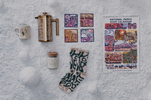 A flat lay of winter-themed items on a snowy surface. From left to right, there is a white mug with a logo reading 'National Parks Project,' a golden French press coffee maker, four colorful coasters featuring illustrations of wildlife and landscapes, a small candle in a jar labeled 'Zion,' a pair of tan and green patterned socks, and a 2026 National Parks calendar with a vibrant, illustrated design. Snowballs are scattered around the items.