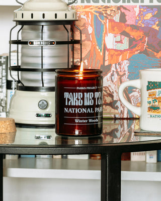 Shop Take Me to the Parks Winter Woods Soy Candle Inspired by our National Parks | amber
