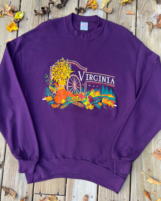 Vintage Virginia Falltime Crewneck