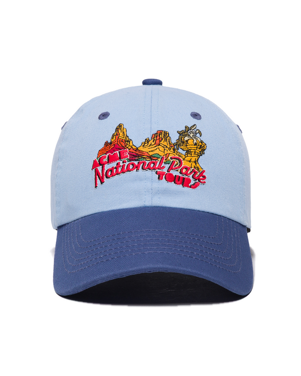 Shop Looney Tunes x Parks Project Hat Inspired by Desert Parks | blue