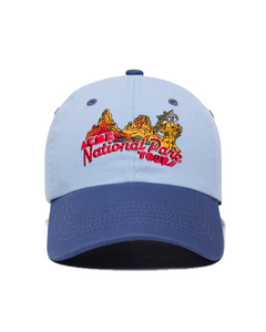 shop looney tunes x parks project hat inspired by desert parks | blue