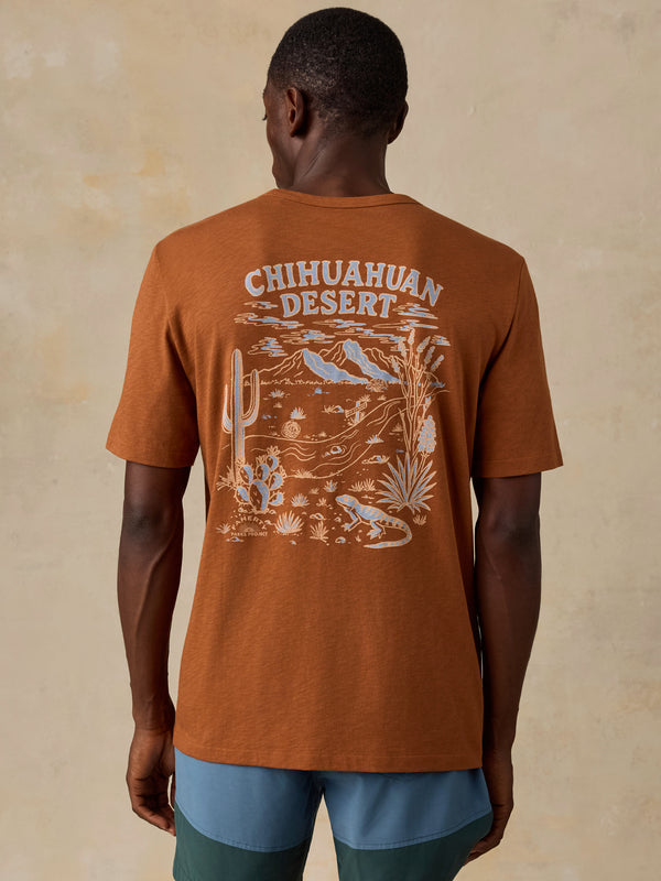 Shop Faherty x Parks Project Chihuahuan Desert Short Sleeve Sunwashed Tee | copper-red