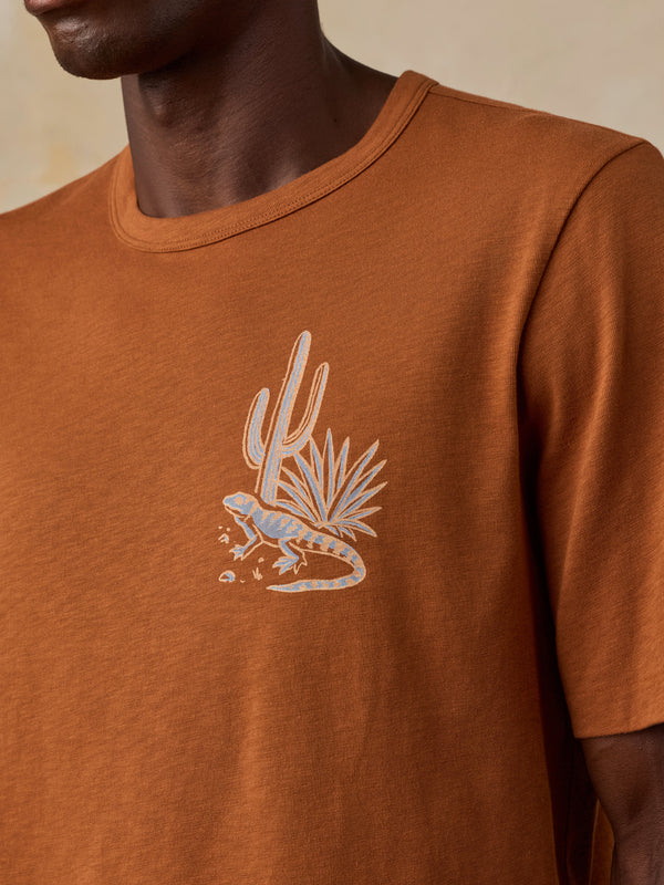 Shop Faherty x Parks Project Chihuahuan Desert Short Sleeve Sunwashed Tee | copper-red