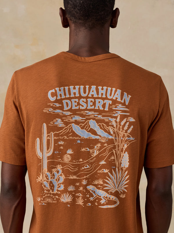 Shop Faherty x Parks Project Chihuahuan Desert Short Sleeve Sunwashed Tee | copper-red