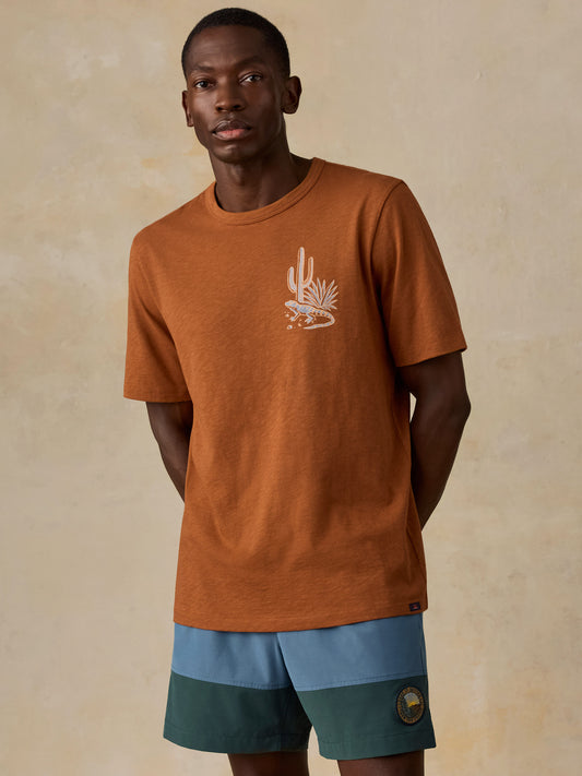 Shop Faherty x Parks Project Chihuahuan Desert Short Sleeve Sunwashed Tee | copper-red