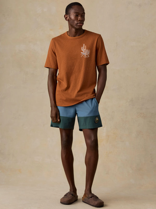 Shop Faherty x Parks Project Chihuahuan Desert Short Sleeve Sunwashed Tee | copper-red