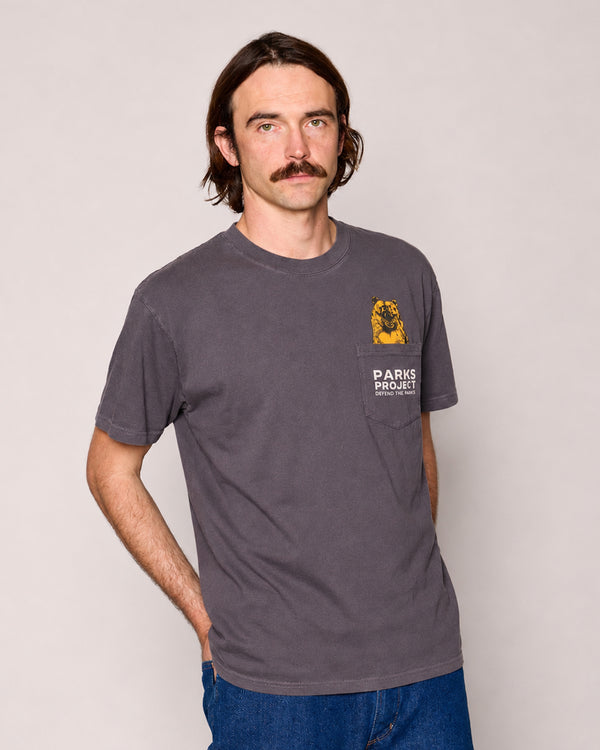 Shop Defend the Parks Bear Pocket Tee Inspiring to Protect Public Lands | graphite