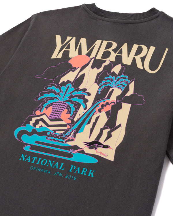 Shop Parks Project Yambaru Heavyweight Oversized Tee Inspired by Japan Parks | vintage-black