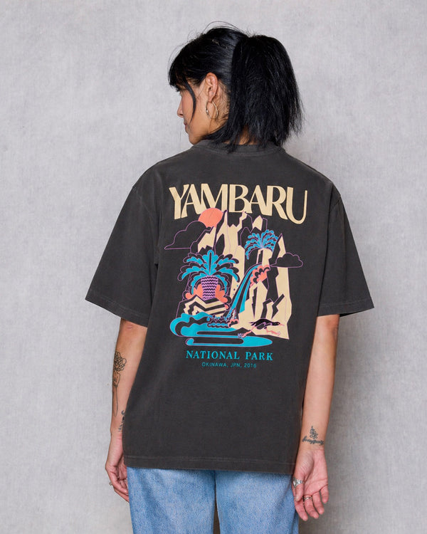 Shop Parks Project Yambaru Heavyweight Oversized Tee Inspired by Japan Parks | vintage-black