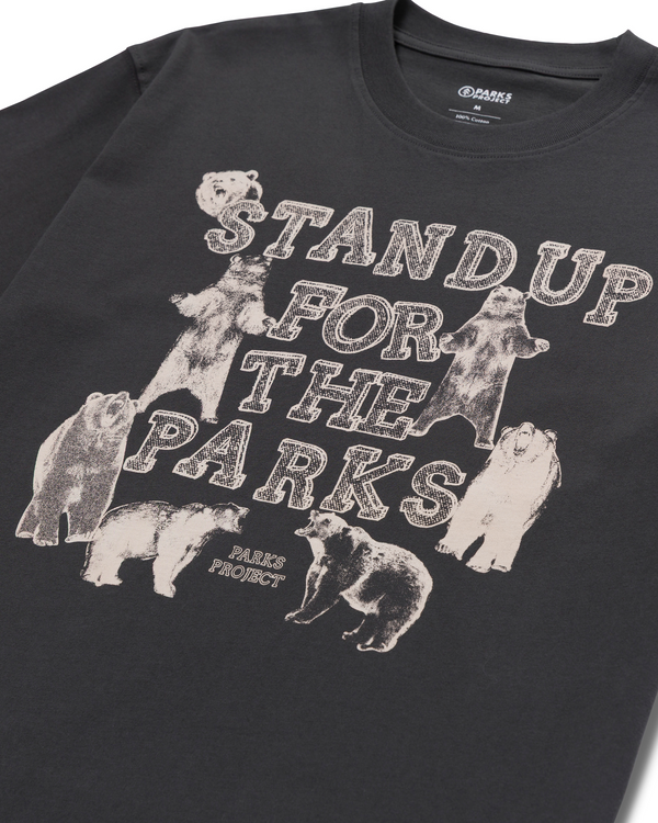 Shop Stand Up For The Parks Tee Inspired by National Parks | vintage-black