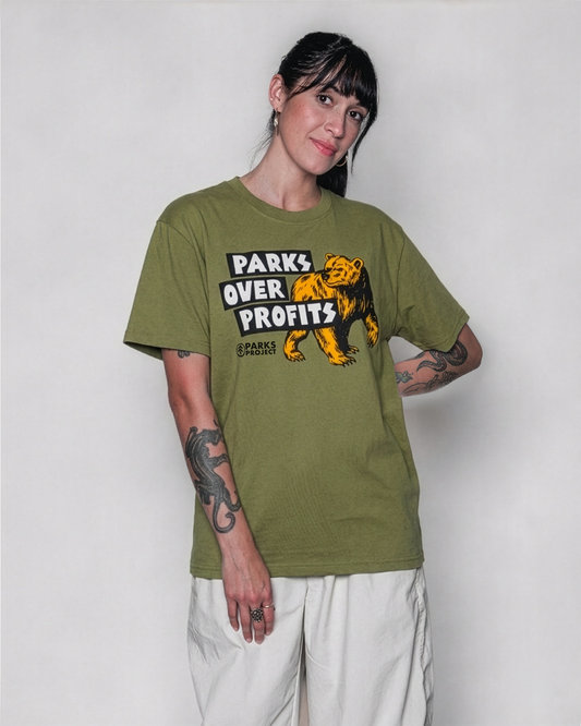 Shop Parks Over Profits Tee Inspired by National Parks | fern