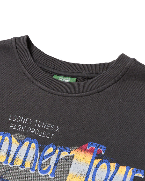Shop Looney Tunes x Parks Project Tour Crew Inspired by Desert Parks | vintage-black