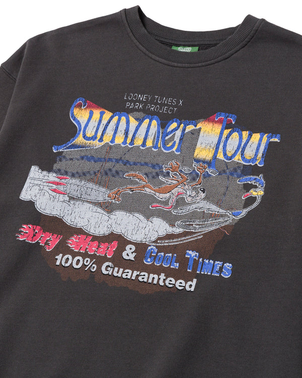 Shop Looney Tunes x Parks Project Tour Crew Inspired by Desert Parks | vintage-black