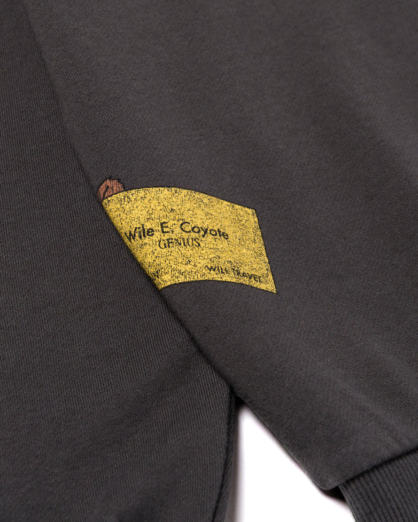 Shop Looney Tunes x Parks Project Tour Crew Inspired by Desert Parks | vintage-black