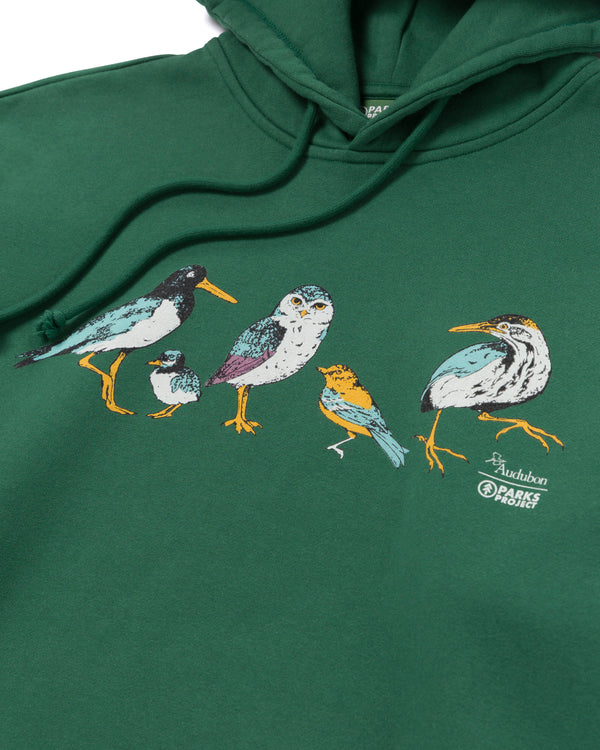 Shop Parks Project x Audubon Hoodie Inspired by Birds in National Parks | forest-green